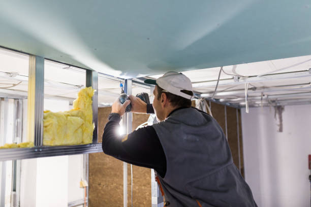 Best Residential Insulation in Naco, AZ
