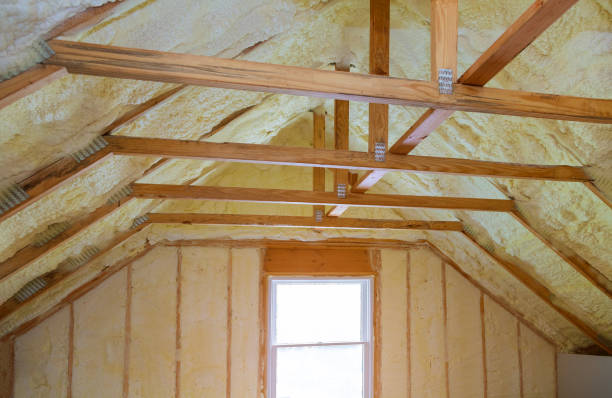 Best Insulation Installation Services in Naco, AZ