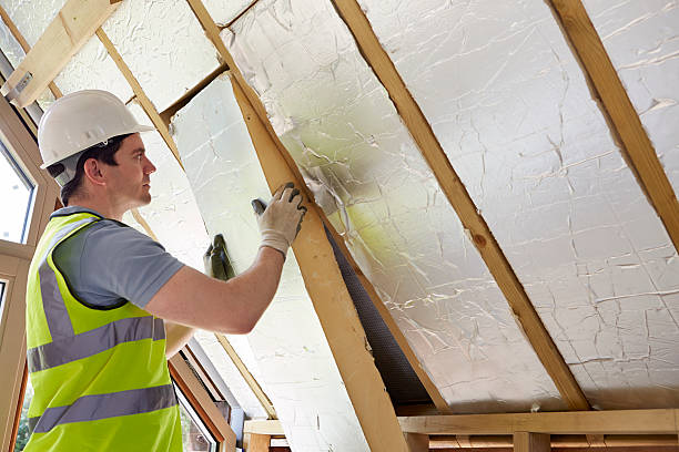 Best Insulation Installation Services in Naco, AZ